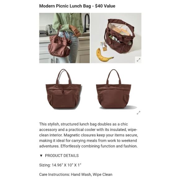 Modern Picnic NWT Dark Brown Insulated Polyester Lightweight Chic Tote Lunch Bag - Picture 13 of 13